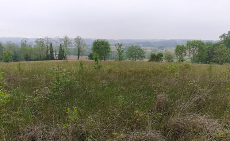 Terrain Amou 5445 m2 1