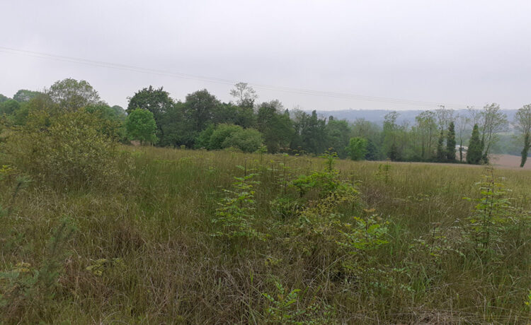 Terrain Amou 5445 m2 3