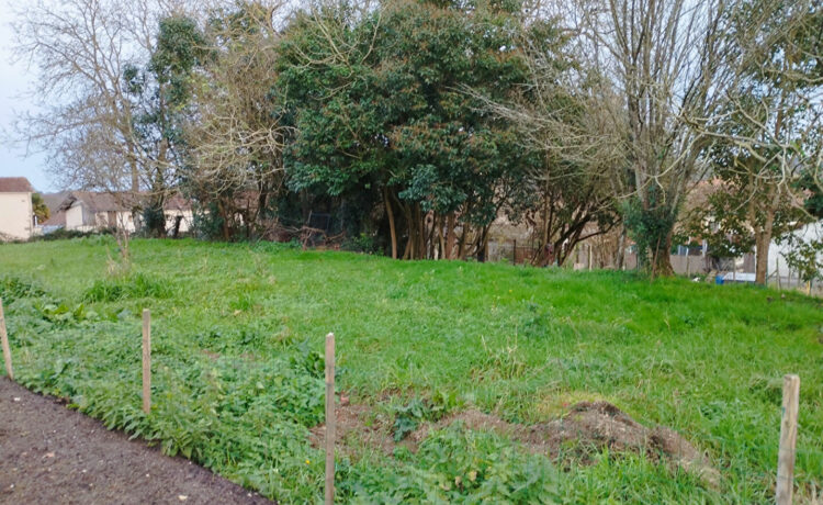 Terrain centre-ville Geaune 1