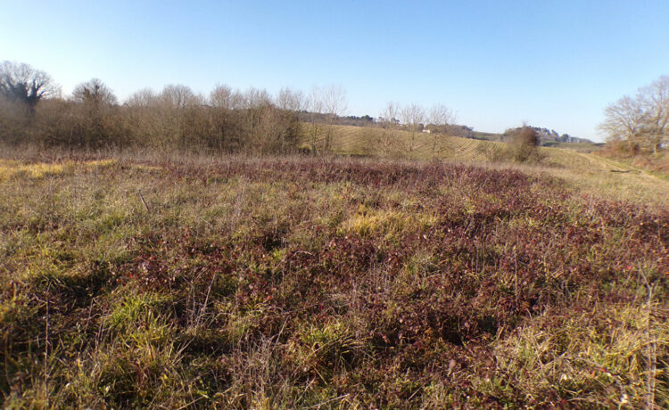 Terrain Saint Sever 1871 m2 2