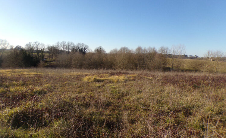 Terrain Saint Sever 1871 m2 3