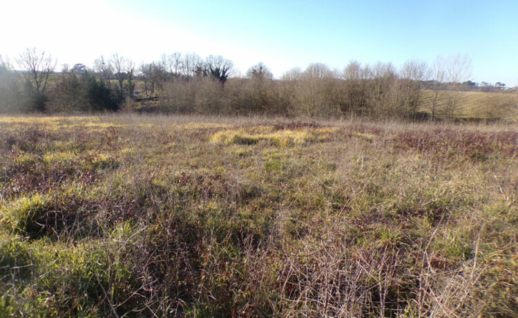 Terrain Saint Sever 1871 m2 4