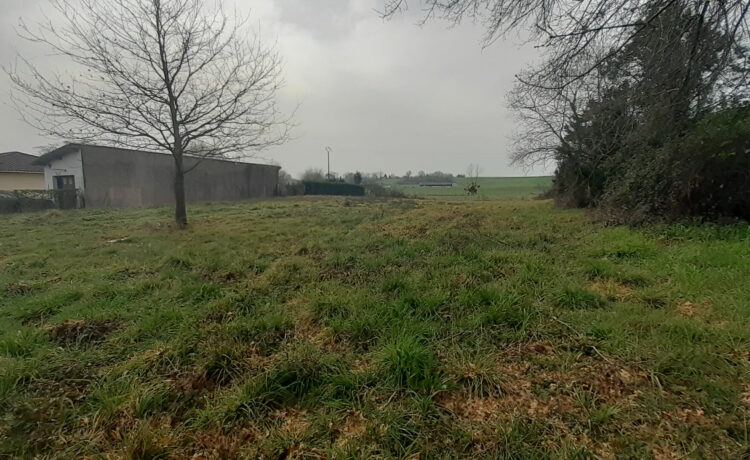 Terrain Amou 1805 m2 1