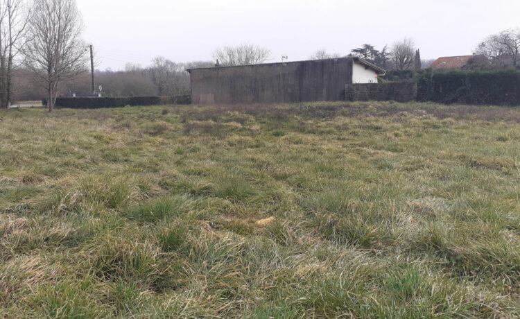Terrain Amou 1805 m2 2