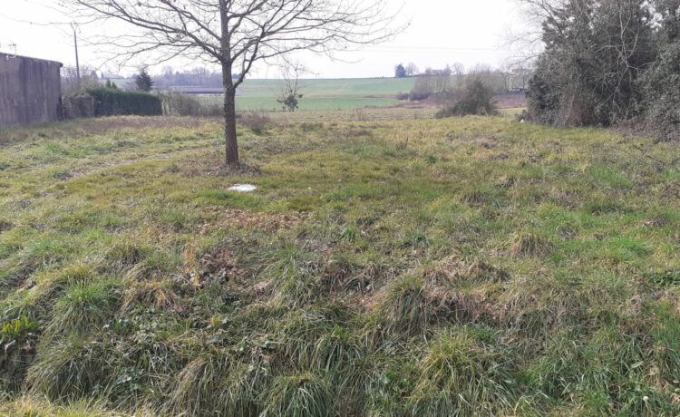 Terrain Amou 1805 m2 3