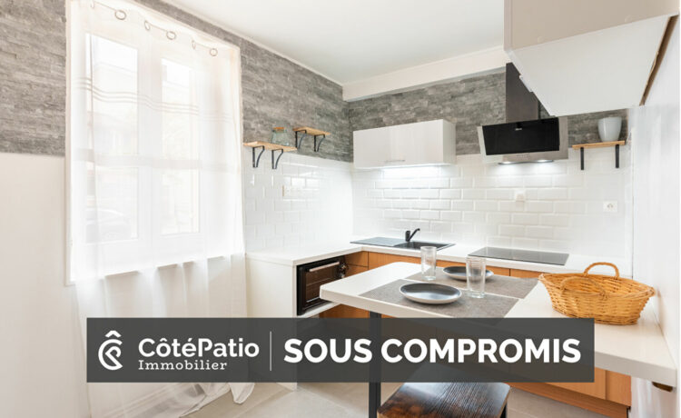 Appartement Mont De Marsan 2 pièces 55 m² 1