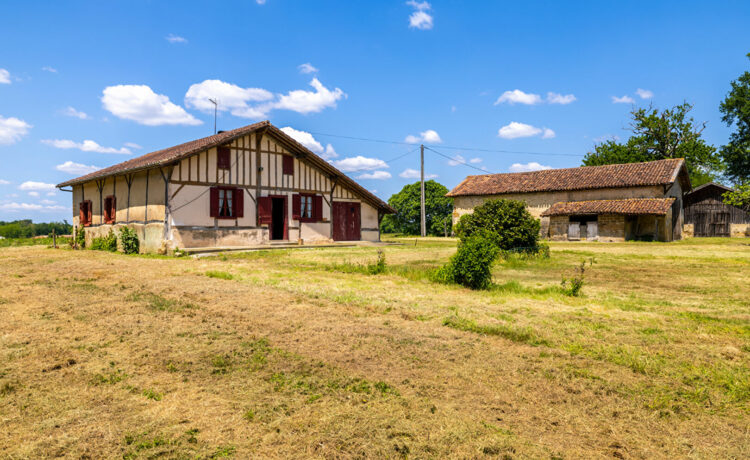 Ferme landaise, 2 dépendances, 1,4 ha de terrain 1