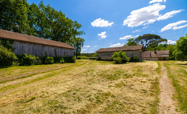 Ferme landaise, 2 dépendances, 1,4 ha de terrain