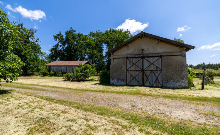 Ferme landaise, 2 dépendances, 1,4 ha de terrain