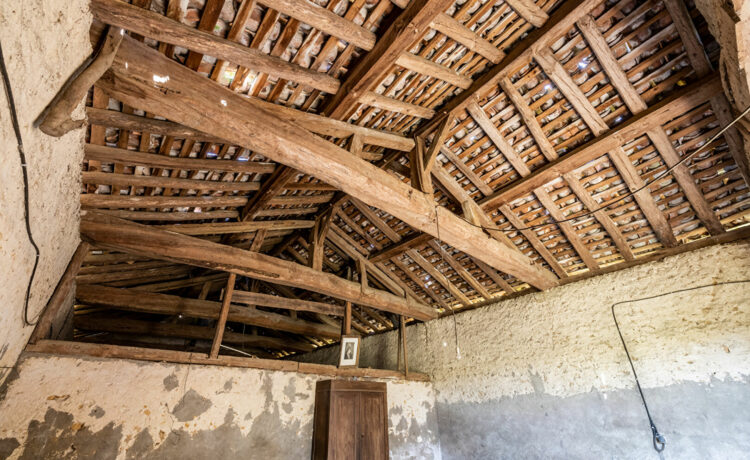Ferme landaise, 2 dépendances, 1,4 ha de terrain