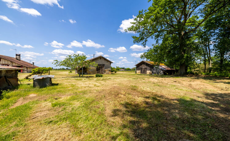 Ferme landaise, 2 dépendances, 1,4 ha de terrain