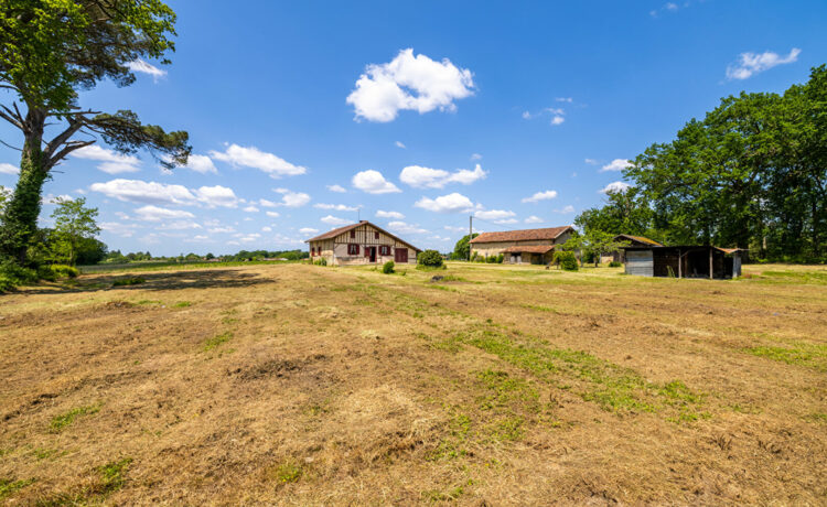 Ferme landaise, 2 dépendances, 1,4 ha de terrain