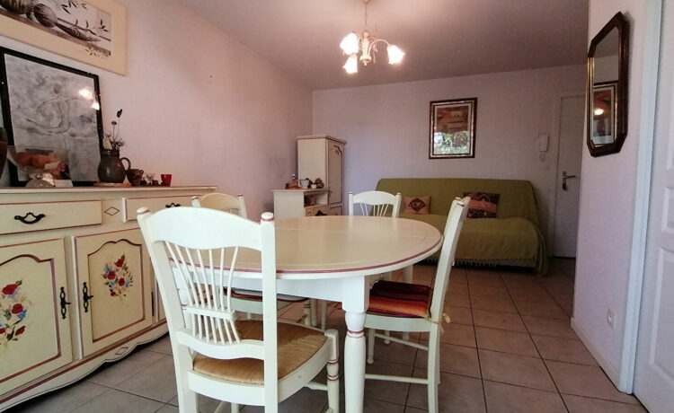 Grand appartement T2 de 48 m² 2