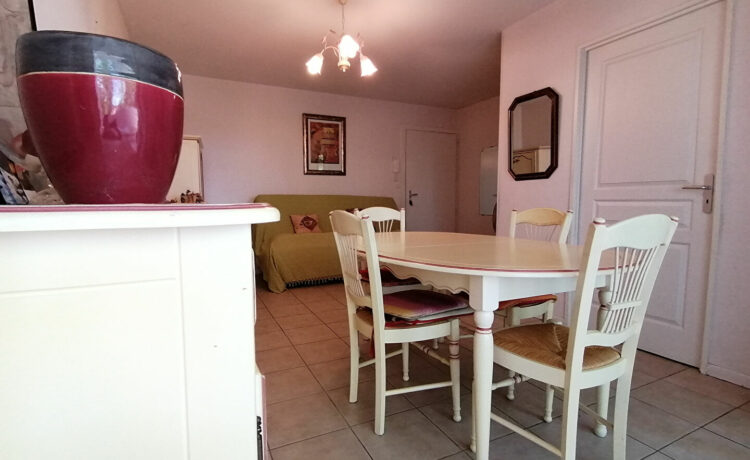 Grand appartement T2 de 48 m²