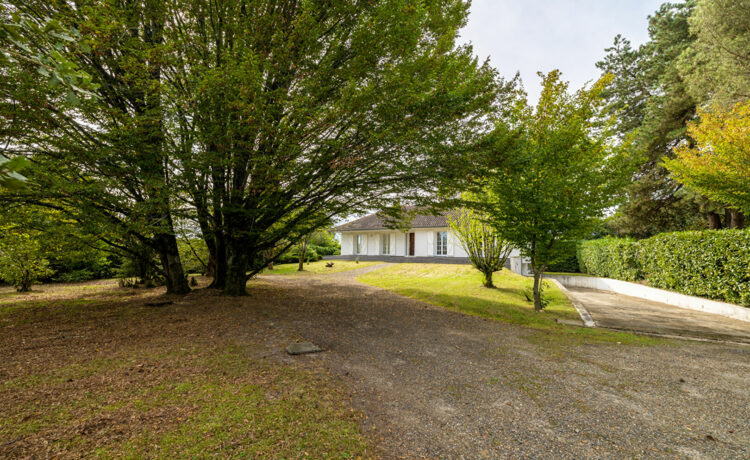 Maison de campagne en villle 1