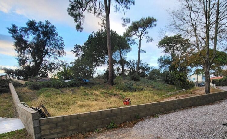 Terrain Capbreton - 927 m2