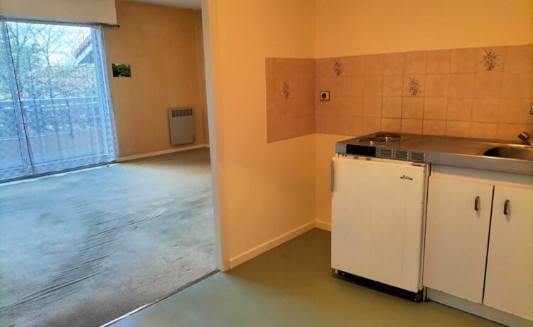 Appartement Mont De Marsan 2 pièce(s) 47 m2 4