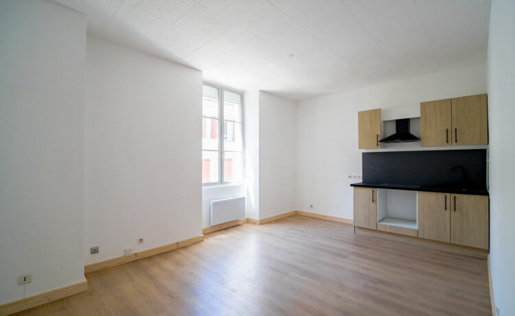 Appartement Aire Sur L Adour 2 pièce(s) 40.73 m2 1