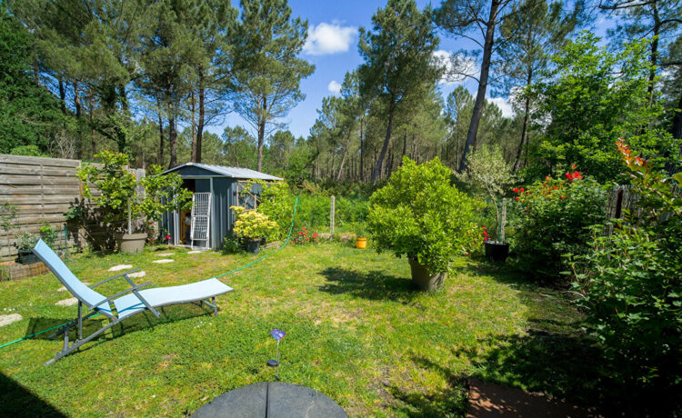 Bel appartement type T2 lisière de forêt 1