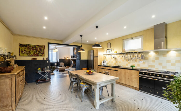 Maison de maître en ville, avec piscine et jardin de 1256 m2 3