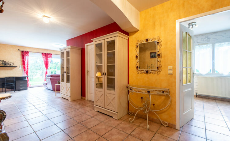 Maison face aux Pyrénées 3