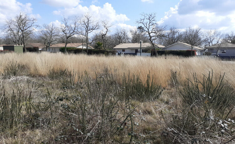 Terrain constructible de 848 m² 1