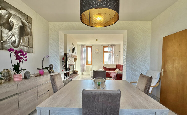 Maison 7 pièce(s) 173 m2
