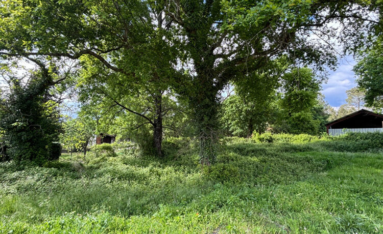 Terrain constructible de 1111 m² à Commensacq 2