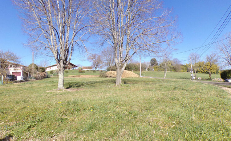 TERRAIN VIABILISÉ 1298 M2 1