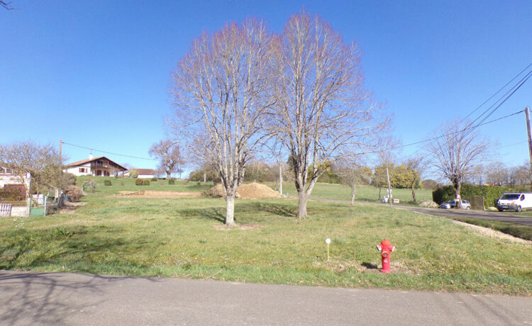 TERRAIN VIABILISÉ 1298 M2 2