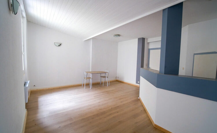 Appartement Aire Sur L Adour 2 pièce(s) 41.12 m2