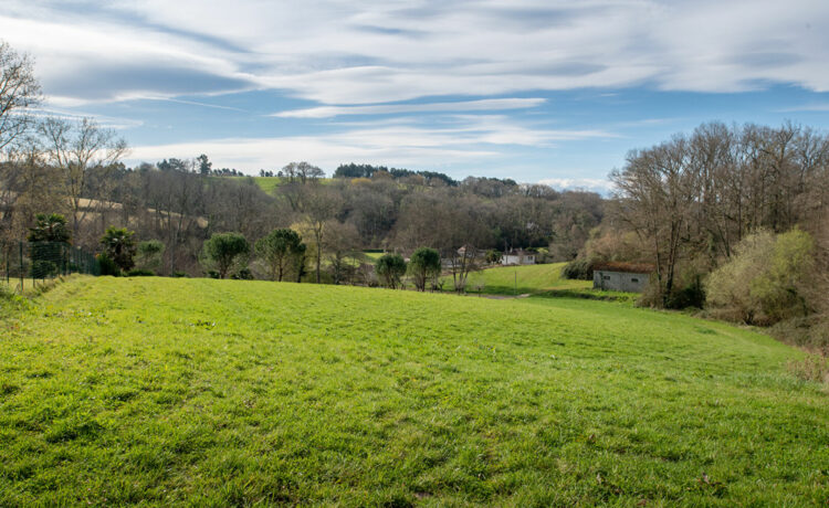Maison 8 pièce(s) 236m2