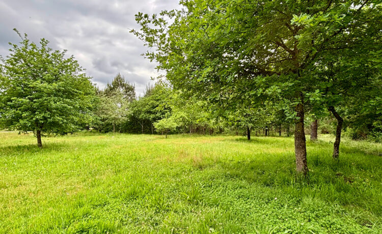 Maison Sabres 5 pièce(s) 99 m2
