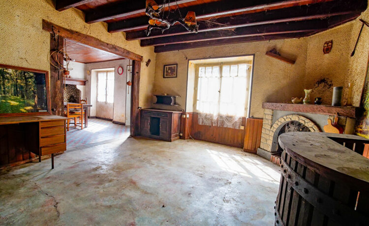 Maison de village à rénover avec jardin 3