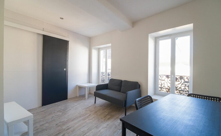 Appartement  T2 Lumineux 3