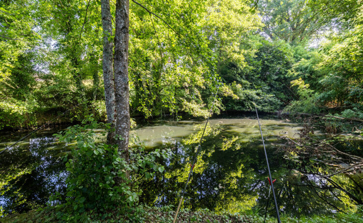 Un lieu d'exception pour un projet de vie unique à Aire-sur-l'Adour
