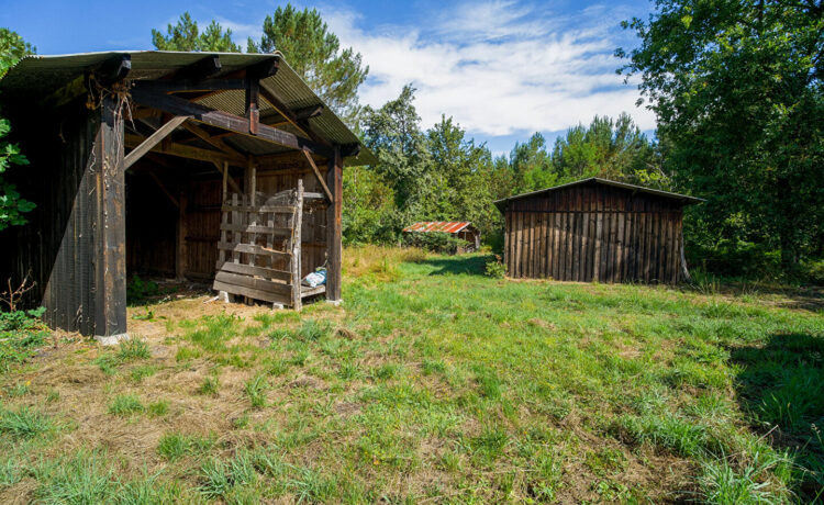 Maison Mano 5 pièce(s) 91 m2 4