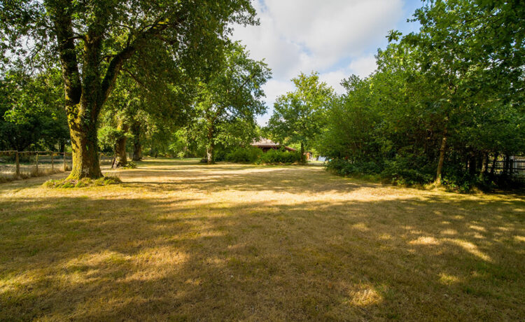 Maison Labouheyre 4 pièce(s) 119 m2