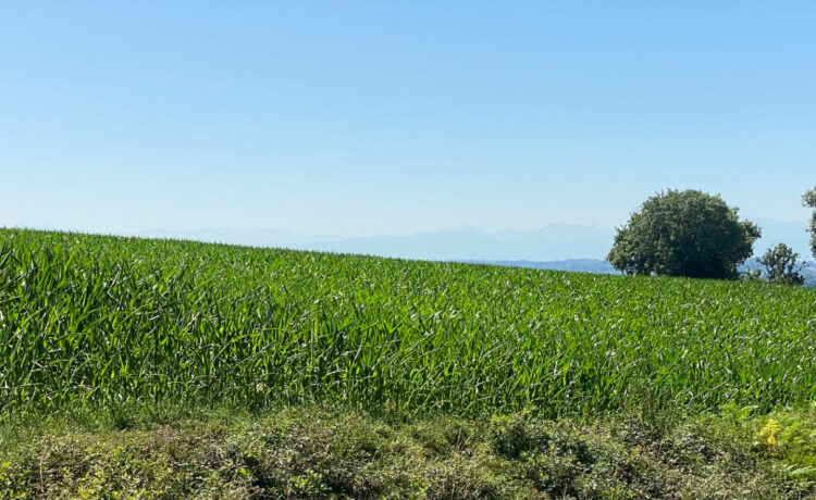 Terrain 2197m2 2