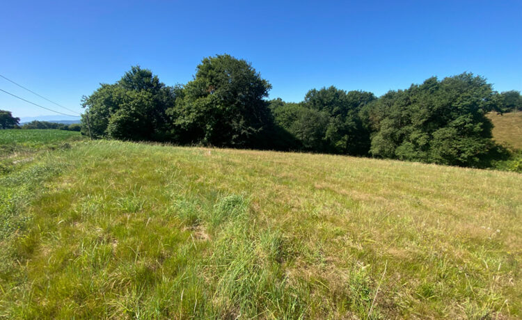 Terrain 2197m2 3