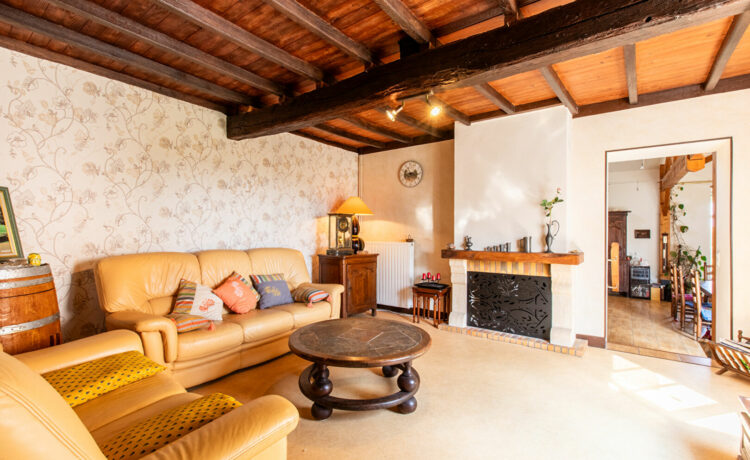 Au calme grande maison et appart indépendant ? Opportunité rare ! 3