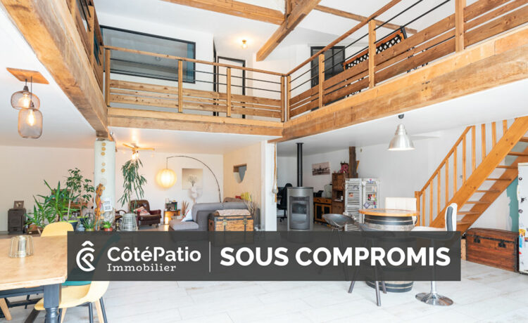 Maison Hagetmau 7 pièce(s) 300m2 1