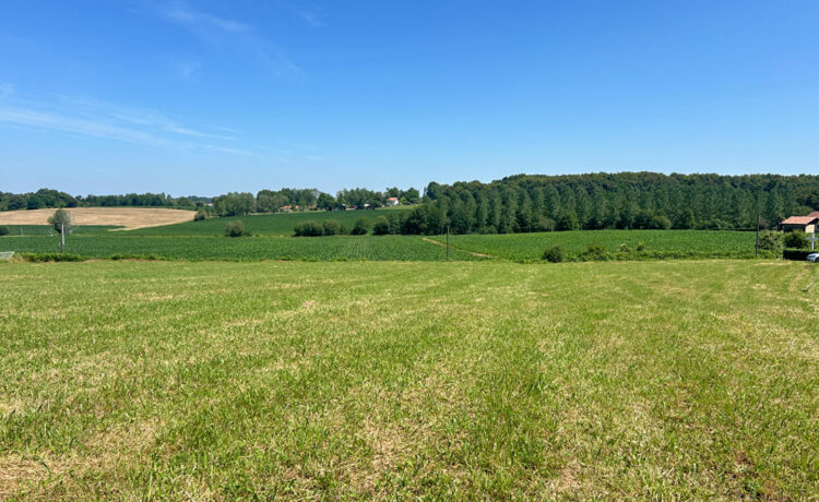 Terrain Hagetmau 1484 m2