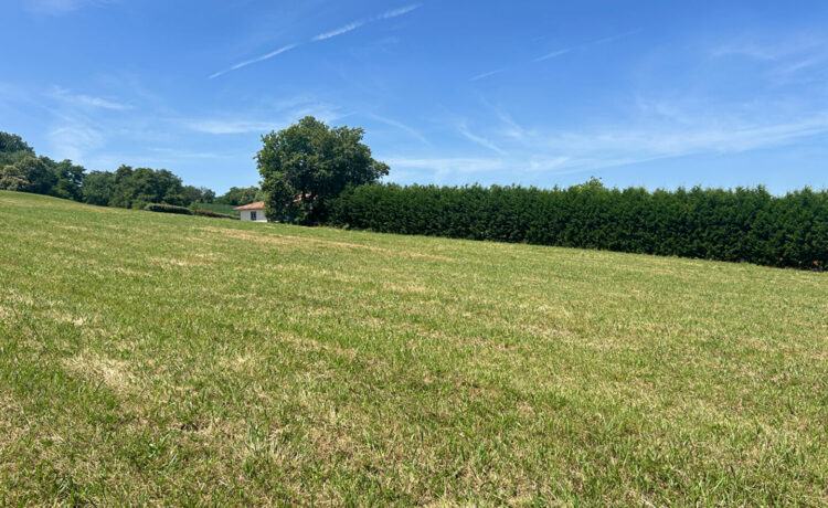 Terrain Hagetmau 1484 m2