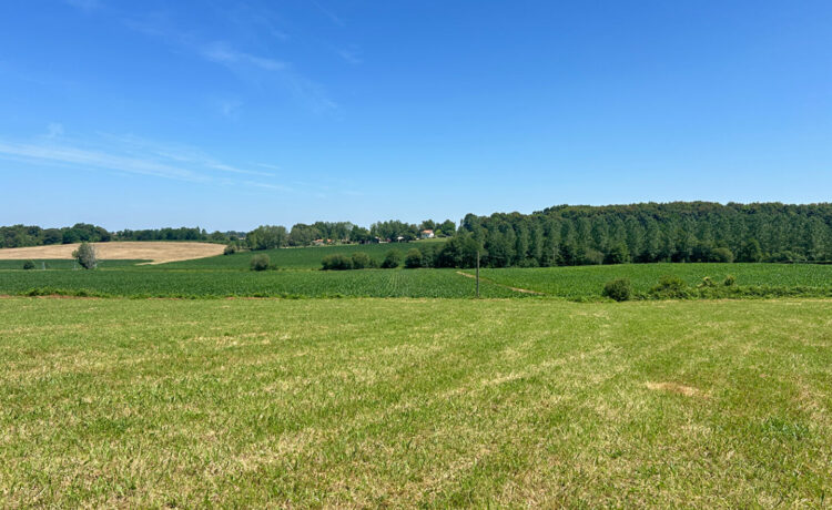 Terrain Hagetmau 1518 m2 1